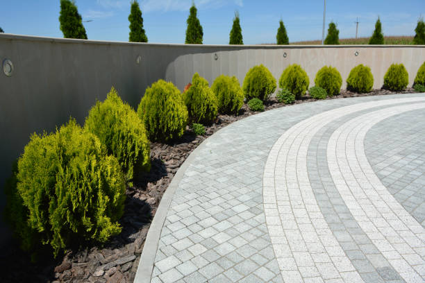 Best Professional Driveway Pavers  in Perry, MI
